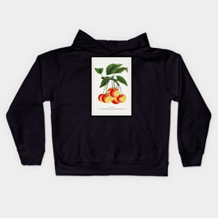 Gov Wood Cherry Lithograph (1900) Kids Hoodie